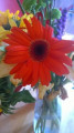 entry picture
