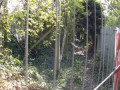 entry picture