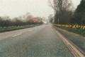 entry picture