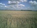 entry picture