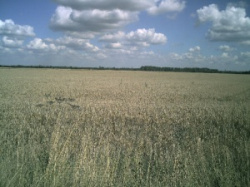 entry picture