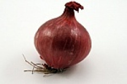 entry picture