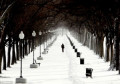 entry picture