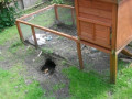 entry picture