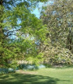 entry picture