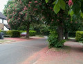 entry picture