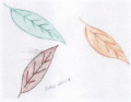 entry picture