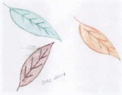 entry picture