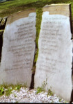 entry picture