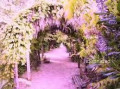 entry picture