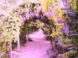 entry picture