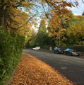 entry picture