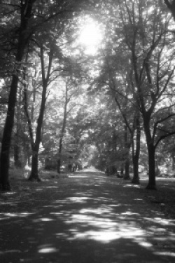 entry picture