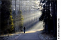 entry picture