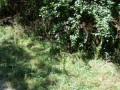 entry picture
