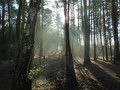 entry picture
