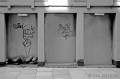 entry picture