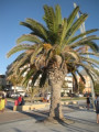entry picture