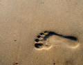 entry picture