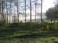 entry picture