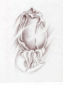entry picture