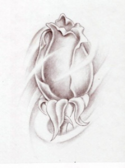 entry picture