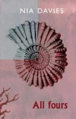entry picture