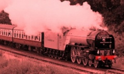 entry picture