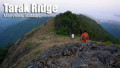 entry picture