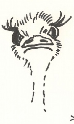 entry picture