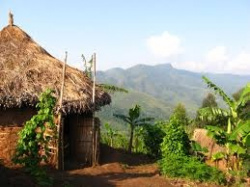 entry picture