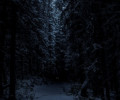 entry picture