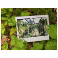 entry picture