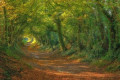 entry picture
