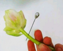entry picture