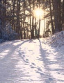 entry picture