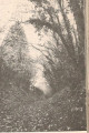 entry picture