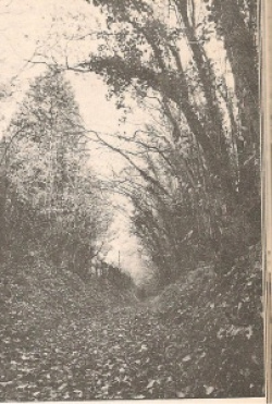 entry picture