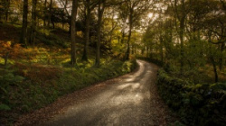 entry picture
