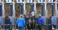 entry picture