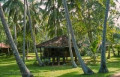 entry picture