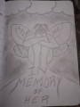 entry picture