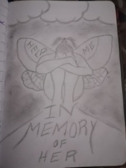 entry picture
