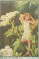 entry picture