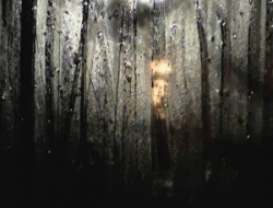 entry picture