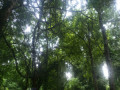 entry picture