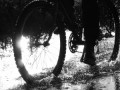 entry picture