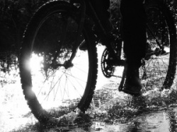 entry picture