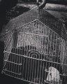entry picture