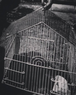 entry picture